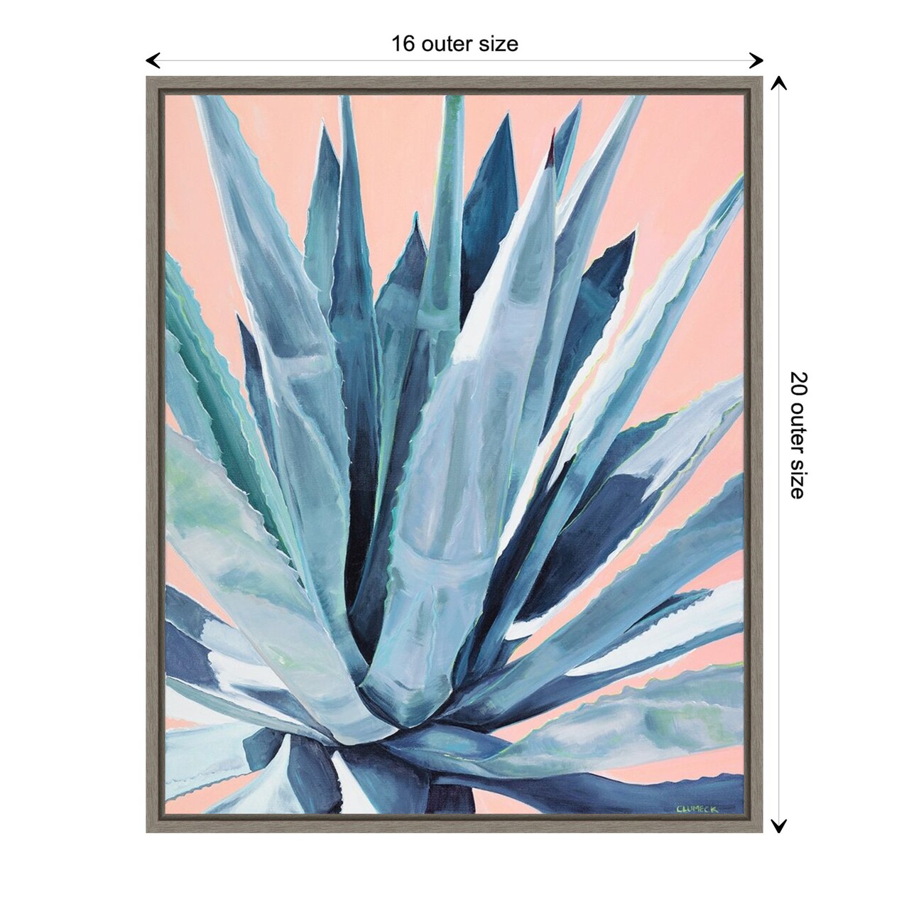 Agave with Coral by Alana Clumeck Canvas Wall Art Print Framed